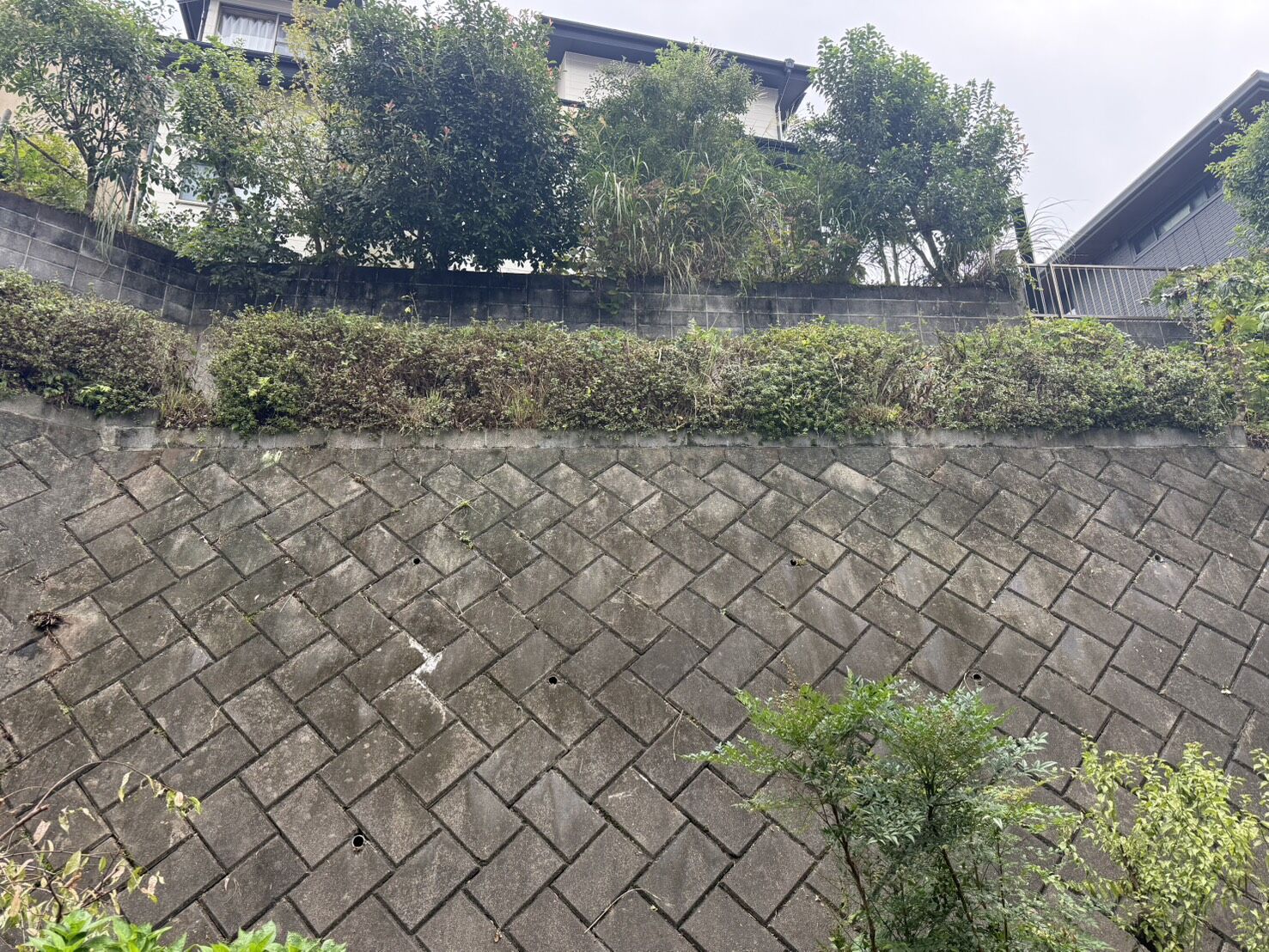 三島市で草刈り依頼