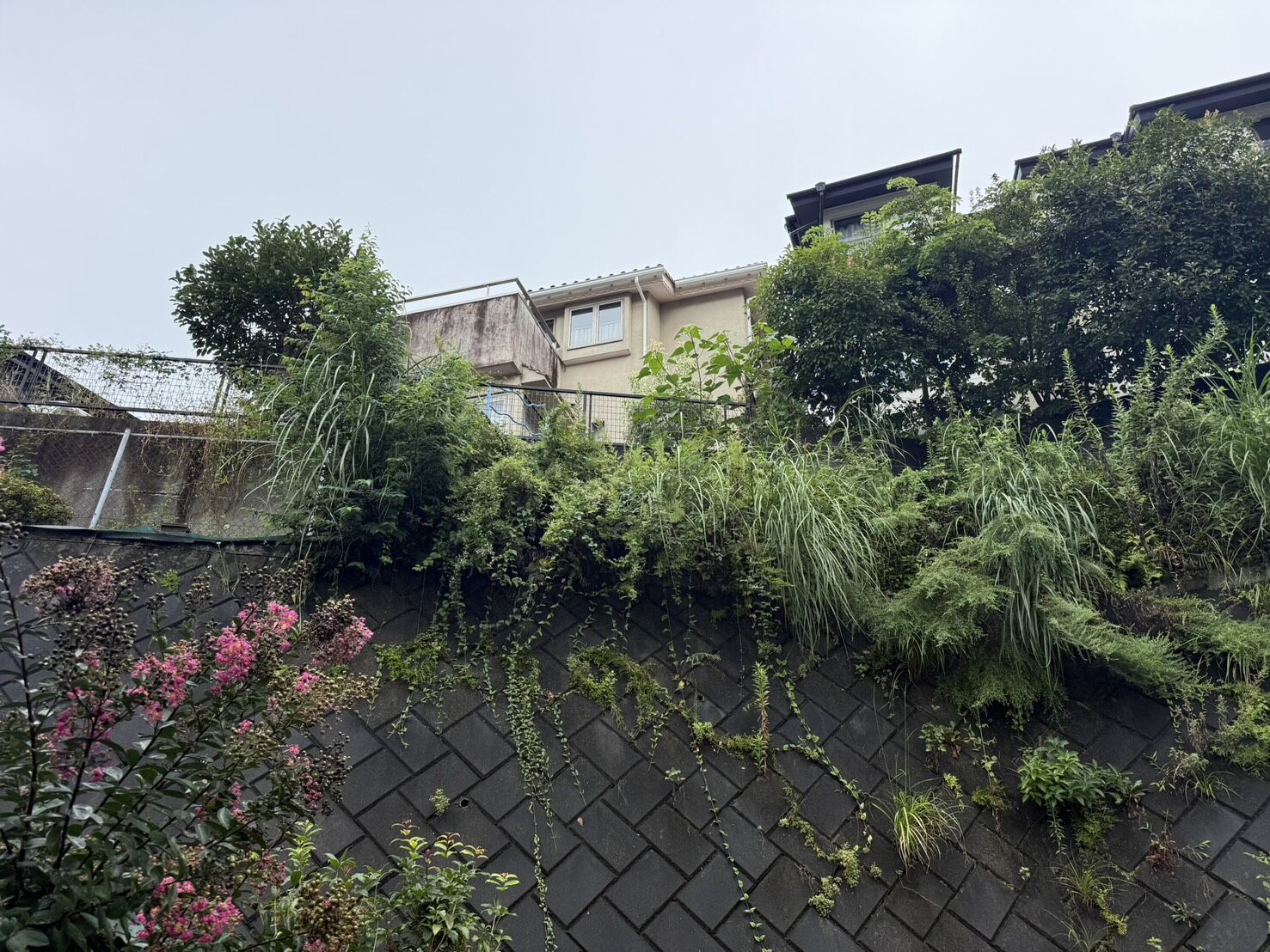 三島市】伸び放題になった斜面の草刈り・植栽整備を行いました！