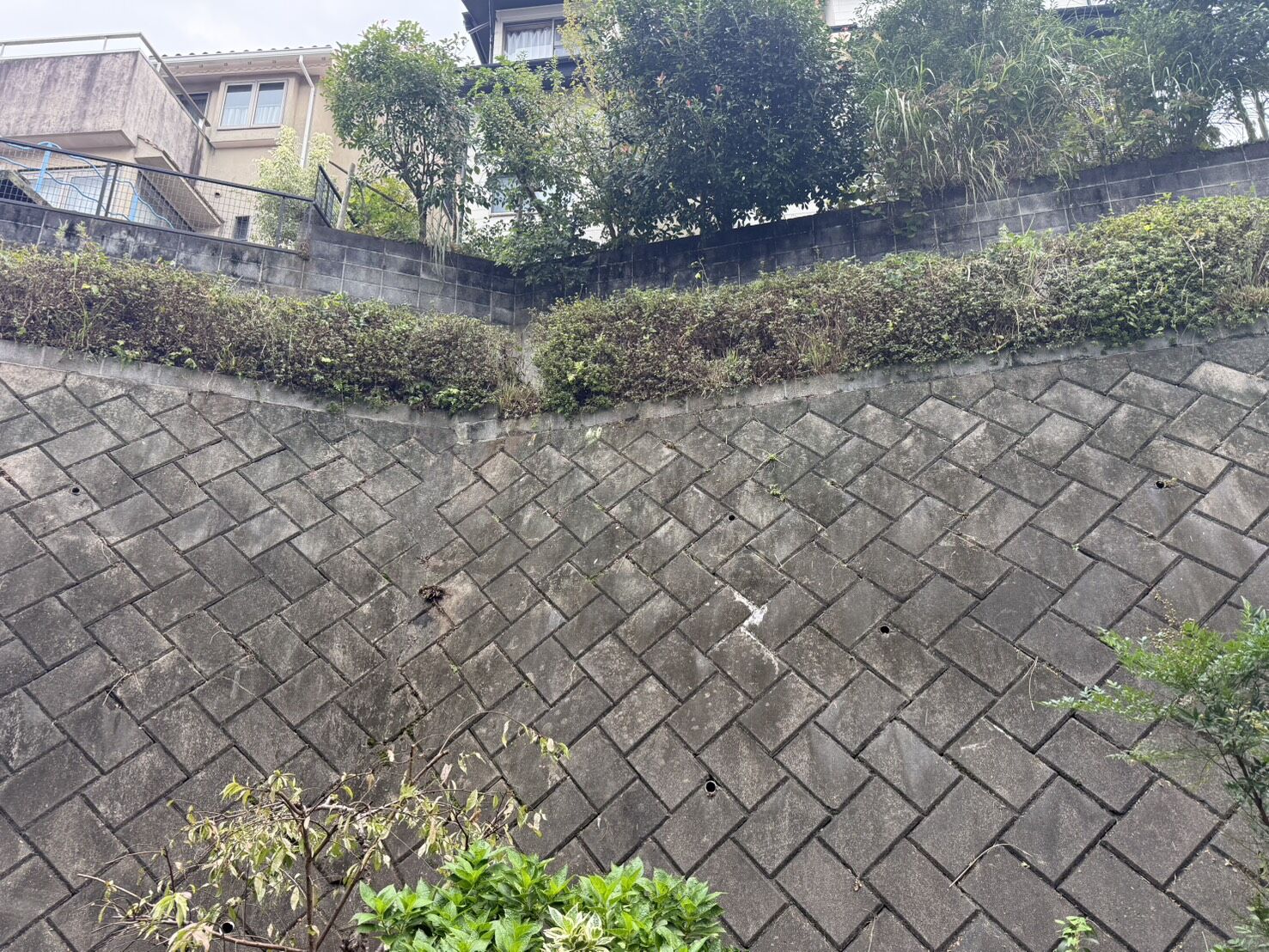 三島市】伸び放題になった斜面の草刈り・植栽整備を行いました！