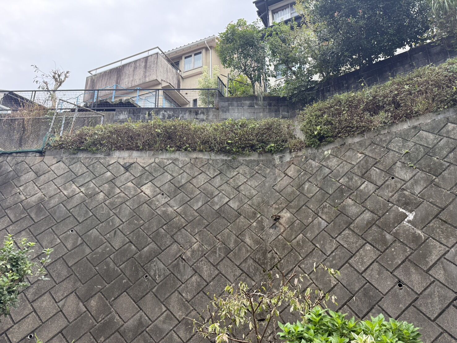 三島市】伸び放題になった斜面の草刈り・植栽整備を行いました！