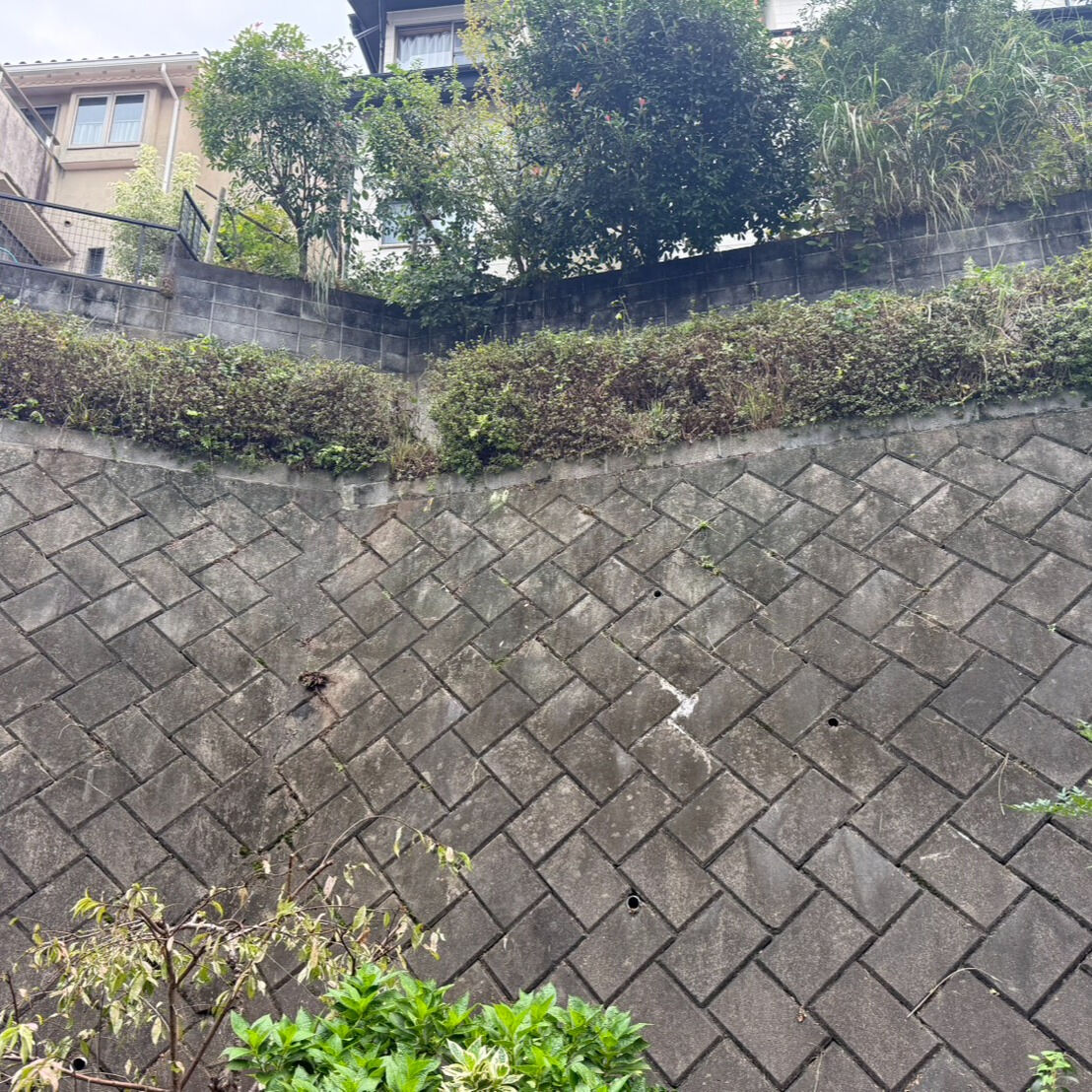 こんにちは！
