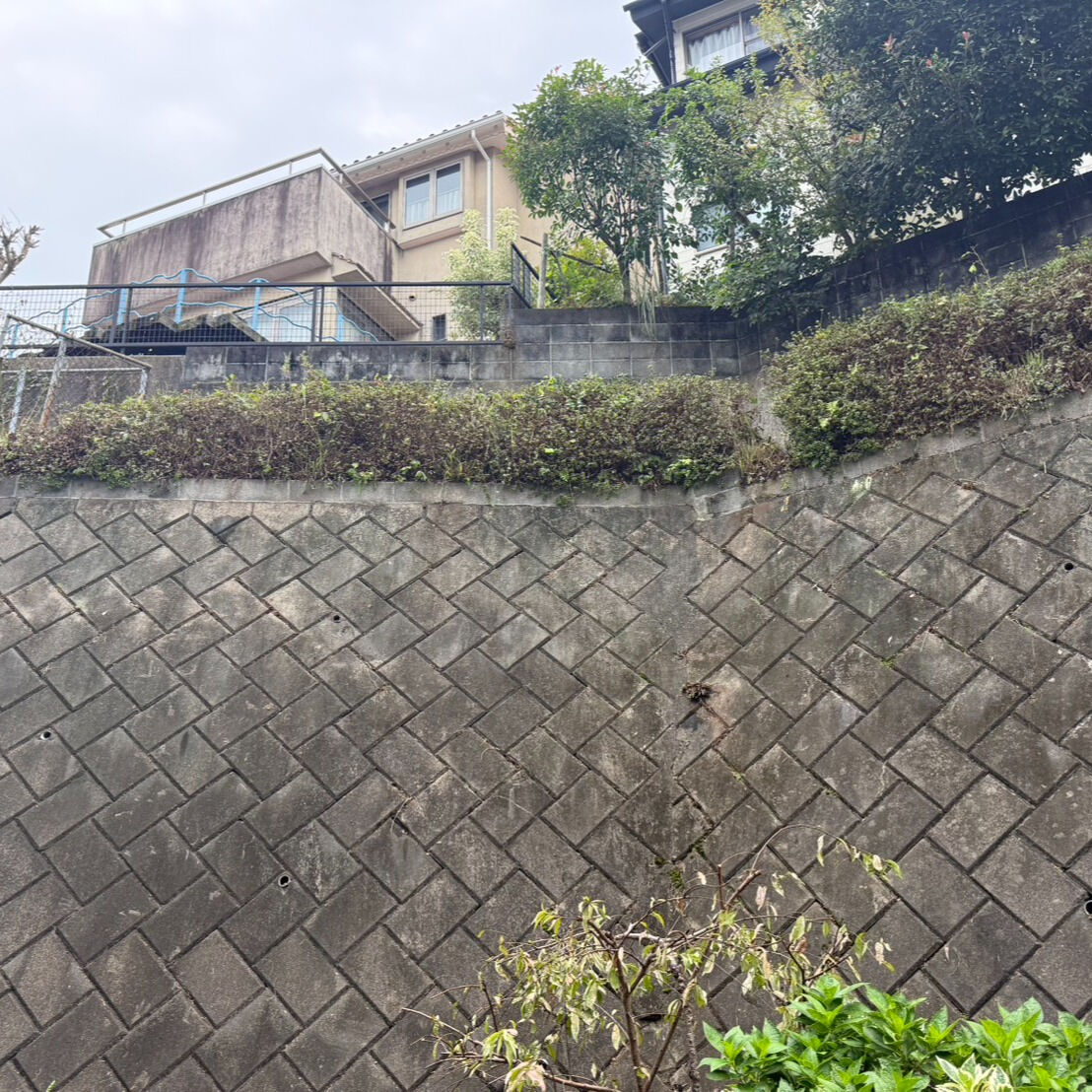 こんにちは！