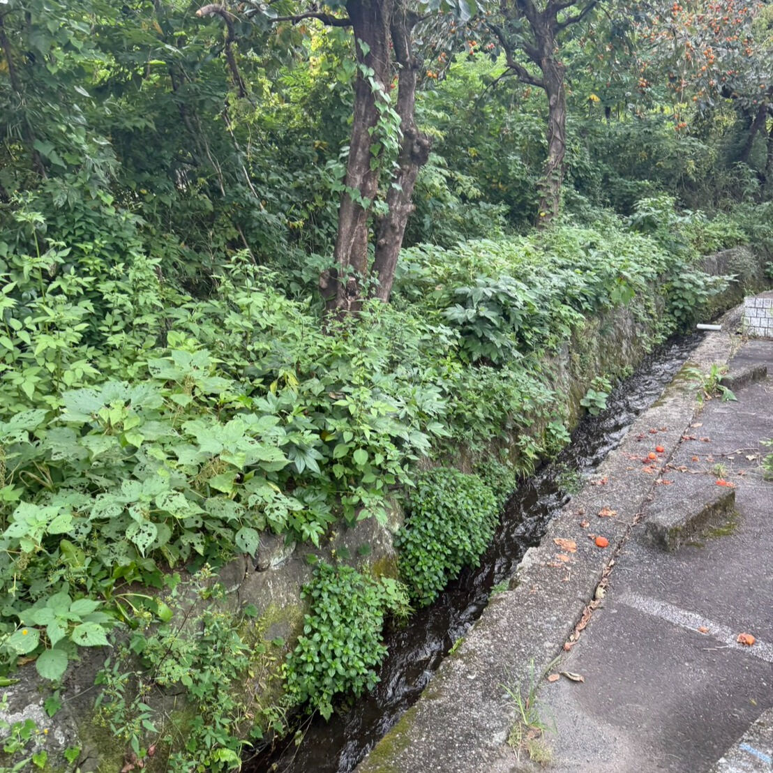 こんにちは！今日のご紹介は、静岡県裾野市桃園で行った草刈りと