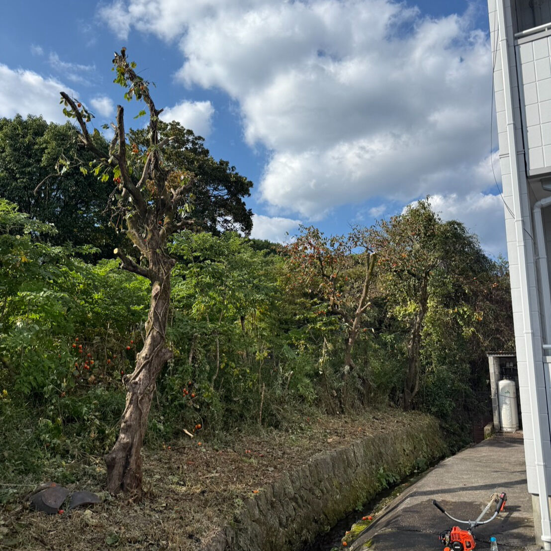 こんにちは！今日のご紹介は、静岡県裾野市桃園で行った草刈りと
